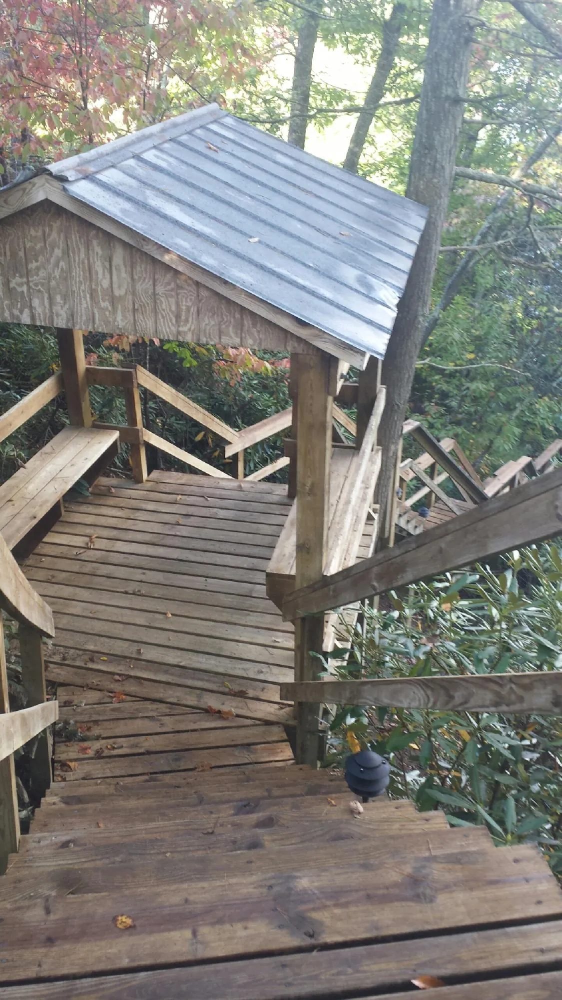 Metal roofed shelter over wooden steps on a wooded walkway — Skylight Repair & Installation work by our crew in Metamora