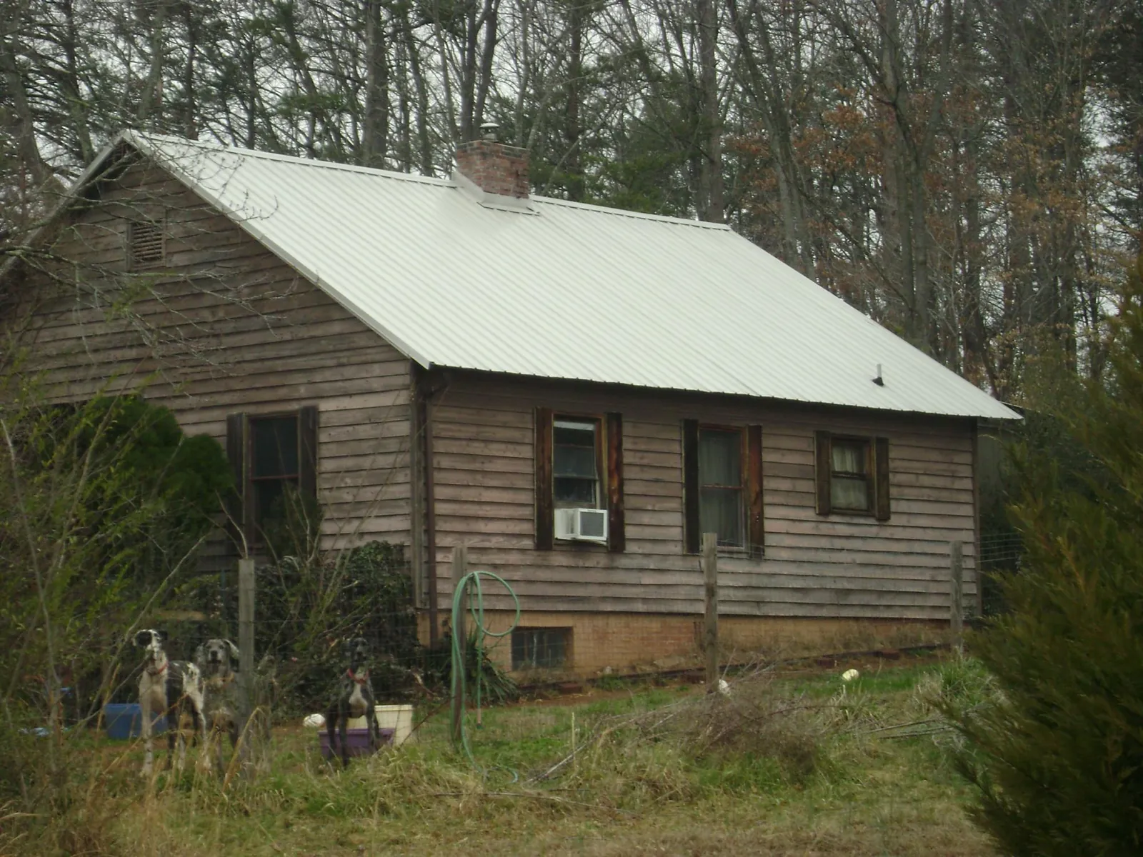 White metal roof on an old wood sided farmhouse, from a Asphalt Shingle Roof Repair job in Metamora